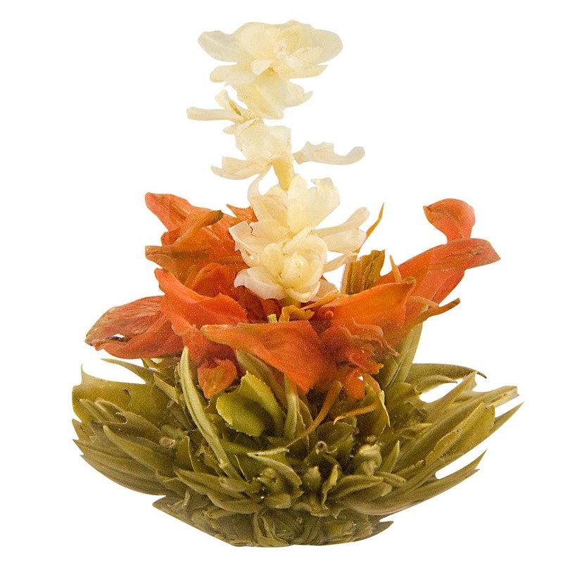 The Exotic Teapot – Mango Splash Flowering Tea, 10 Bloom