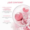 Laneige Bouncy Firm Serum Korean Slow Anti Aging Collagen Complex