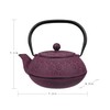 30 oz Cast Iron Teapot Enamel Lining W/Metal Infuser Tea
