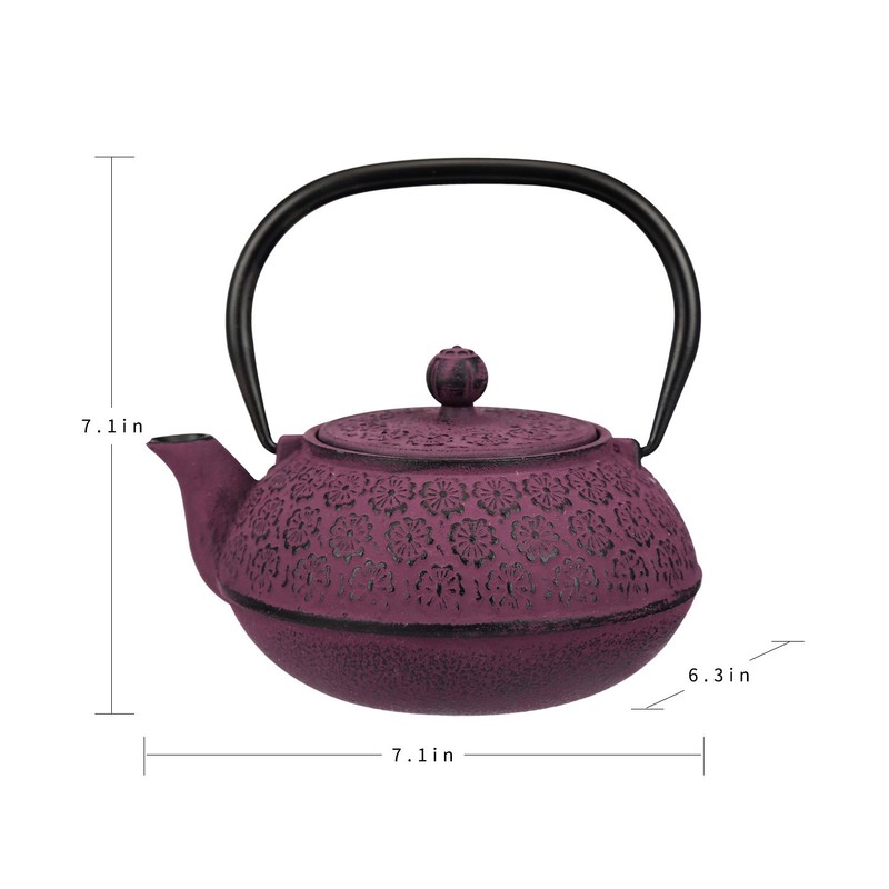 30 oz Cast Iron Teapot Enamel Lining W/Metal Infuser Tea