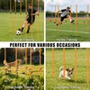 Hikeen Upgraded Agility Poles, 6 Pack 6ft Soccer Training Poles,