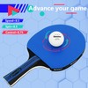 Senston Ping Pong Paddles Family Entertainment 4-Pack Table Tennis Paddle