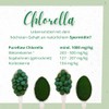 Chlorella Powder Organic - Pure & Controlled (Raw Vegan) Chlorella