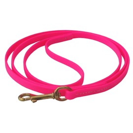 J&J Dog Supplies Biothane Dog Leash