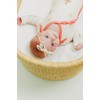 Copper Pearl Classic Baby Bow CoComelon