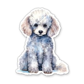 Poodle Dog Sticker - 5" Laptop Sticker - Waterproof Vinyl for Car, Phone, Water Bottle - Cute White Poodle Decal