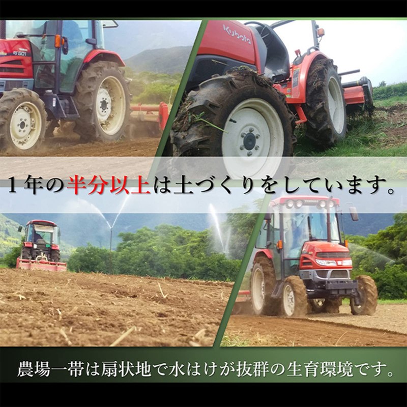 遠赤青汁 V1 