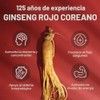 JUNG KWAN JANG US Cápsulas de extracto de ginseng rojo