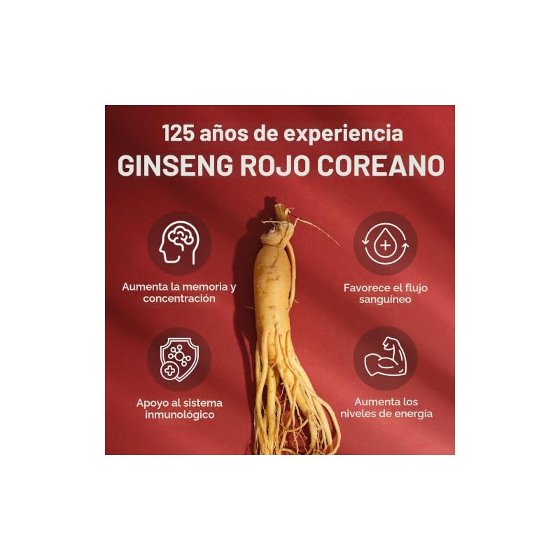 JUNG KWAN JANG US Cápsulas de extracto de ginseng rojo