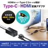 Sanwa Supply USB to 3TCH34BK HDMI Converter Adapter with USB