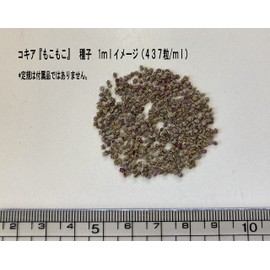 Fukkaen Seedlings, Kochia Selection, "Fluffy" Seeds, 0.4 fl oz (10 ml) Pack, Green