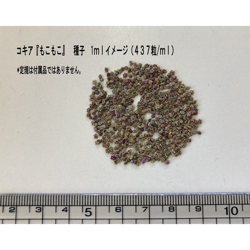 Fukkaen Seedlings, Kochia Selection, "Fluffy" Seeds, 0.4 fl oz (10