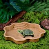 Turtle Bathing Pool, Reptile Feeding Dish Water Pot, Landscape Fish
