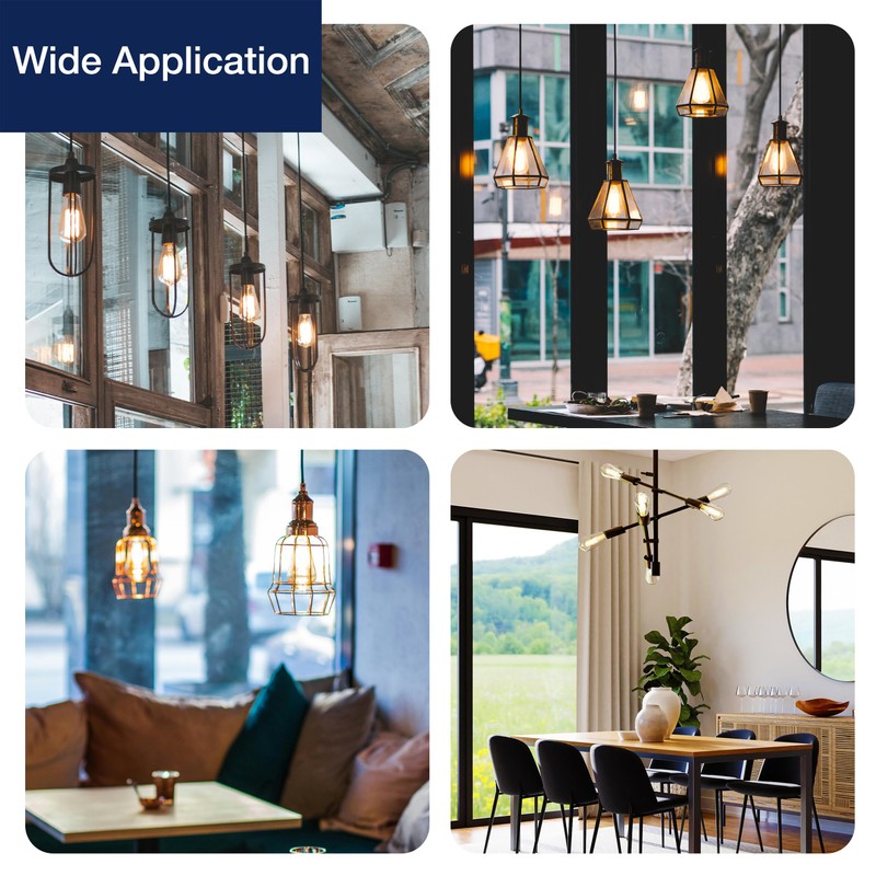 FLSNT 100W Equivalent LED Edison Bulbs, ST19/ST58 Dimmable LED Light