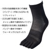 Hayashi BC935 Women's Socks, 5 Toe Mesh, 2 Pairs Set,