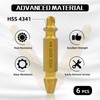 RENYU 6 Pcs Damaged Screw Extractor Kit, HSS 4341 Screw