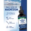 Nature's Truth Ionic Magnesium Liquid Drops | 200mg | 4