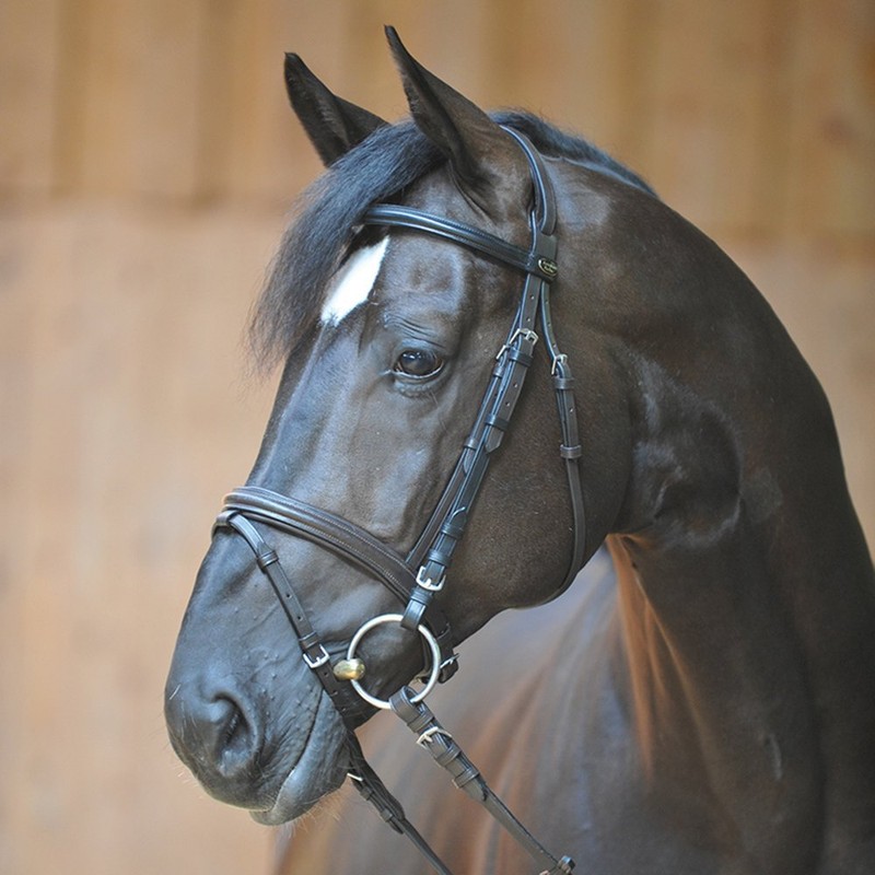 Kavalkade Unisex's Quentin English Combination Bridle, Brown, Small Pony