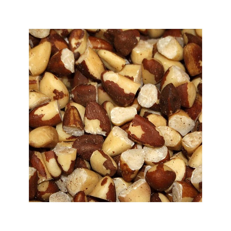 Wholefood Earth Broken Brazil Nuts 250 g | GMO Free