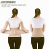 ORTONYX Ergonomic Abdominal Binder Waist and Lower Back Support Belt,