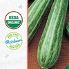 Back to The Roots 100% Organic Seed Packet - Squash