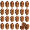 Deloky 60 Pcs Christmas Natural Mini Hanging Pine Cones with