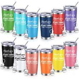 Sieral Thank You for Being Awesome Tumbler,Thank You Gifts for Women Men 20oz Insulated Stainless Steel Travel Tumbler with Lid and Straw Appreciation Gift with Keychain (Multicolor, 24 Pieces)