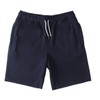 DC Shoes Riot Men's Shorts