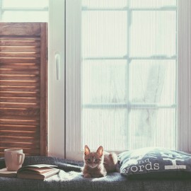 Relaxdays White Thread / String Curtain - Can Be Shortened - Includes Drawstring - For Doors and Windows - Various Sizes, White