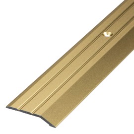 Gedotec Aluminium Transition Profile With Holes, Aluminium End Profile, Height Compensation Floor Strip, Silver Anodised, Cover Strip, Transition Rail For Screwing, Pack of 1 x 100 cm