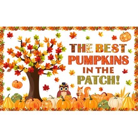 AIBIIN Pumpkin Patch Party Backdrop Fall Thanksgiving Banner Autumn Maple Leaves The Best Pumpkins in The Patch Bulletin Board Decorations Party Photo Background Wall Decor Supplies 70.8 x 43.3 inch