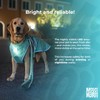 Max & Molly Matrix 2.0 Ultra LED, Dog Light, Leash