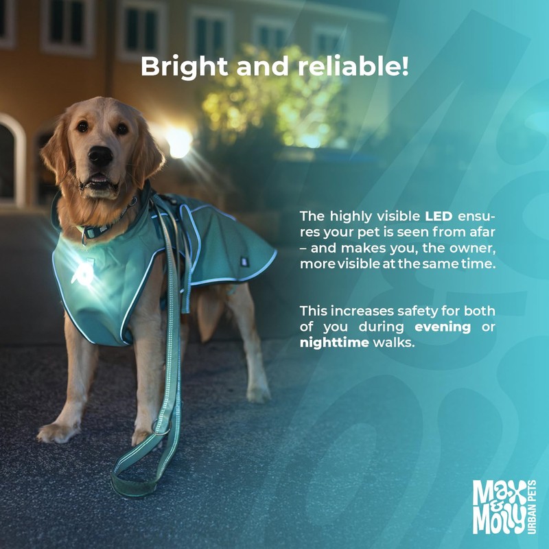 Max & Molly Matrix 2.0 Ultra LED, Dog Light, Leash