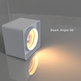 FOOC LED Surface Mounted Light Flat with Large Light Surface – LED with 9 W Warm White 230 V – Space Surface-Mounted Spotlight 36° Beam Angle Ceiling Light for Interior Lighting