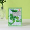 Foodaholic 3D Green Tea Natural Essence Mask Pack (10 sheets)
