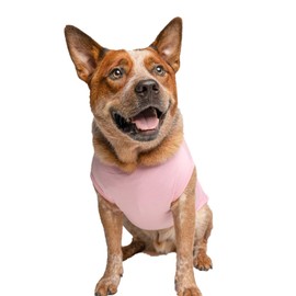 Soon to Be Big Sister Dog Tee Shirt | Sleeveless | Pregnancy Announcement | New Baby | Gender Reveal | Photoshoot (Baby Pink, 3X-Large 56)