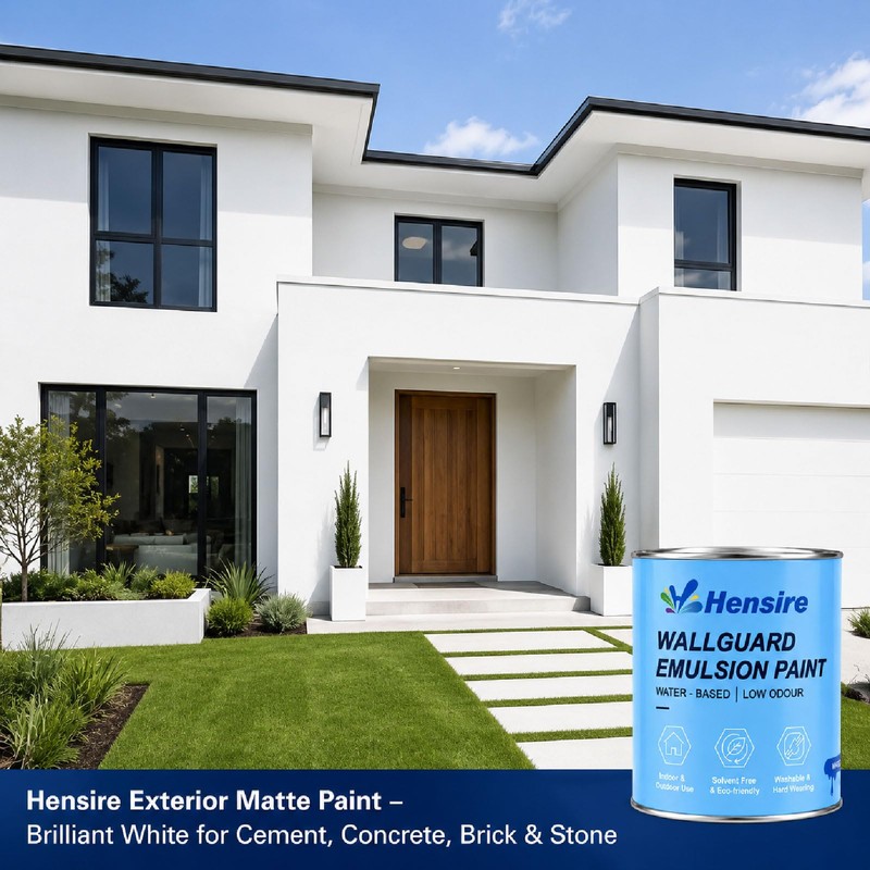 Hensire White Exterior Wall Paint for Concrete & Masonry, 17oz