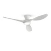TALOYA 52 inch Ceiling Fans with Lights Remote Control, Modern