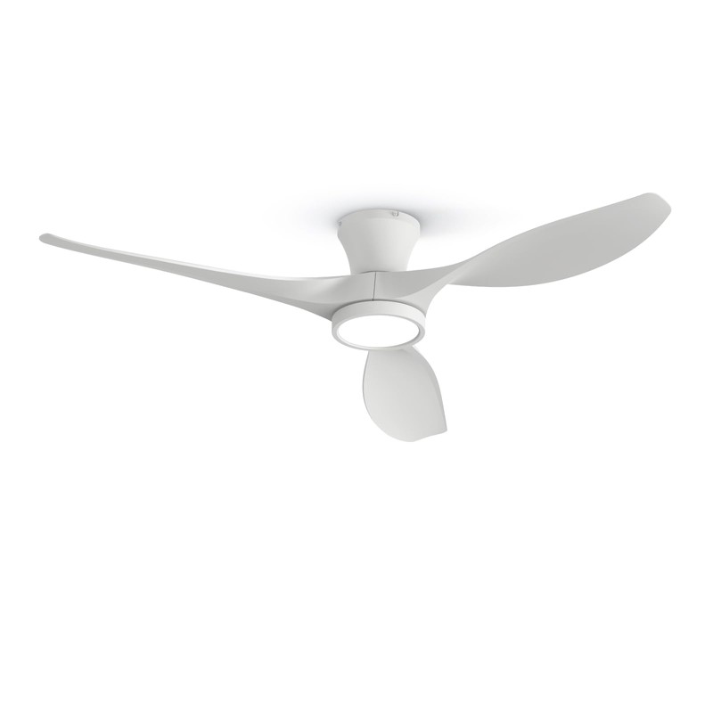 TALOYA 52 inch Ceiling Fans with Lights Remote Control, Modern