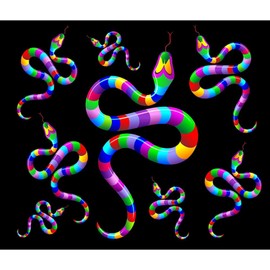 CafePress Snake Psychedelic Rainbow Colors Memory Keepsake Jewelry Box, 5"x5"x3.75"