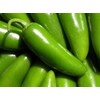 Pepper Hot Jalapeno Tam Mild Great Heirloom Vegetable Seeds by Seed Kingdom (1 Lb Seeds)