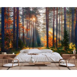 Wmjurel Autumn Sunshine in The Woods Wallpaper, Natural Landscape Mural, Modern Living Room Bedroom Backdrop Wall Mural(Non-self-Adhesive)