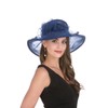 Haojing Kentucky Derby Hat Fascinator Party Church Hat for Women