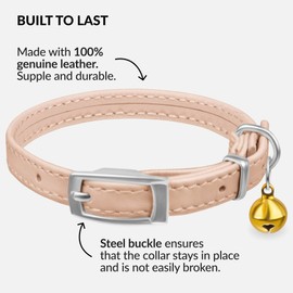 CollarDirect Leather Cat Collar with Bell - Kitten Collar, Small and Big Cat Strap for Boy Cats, Girl Cats with Safety Elastic Strap (Neck Fit 8"-11", Beige)