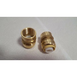 Undisclosed 1" FPT (Female Pipe Thread) Push Fitting~~Bag of 5~LEAD FREE!