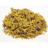 St. John's Wort (Hypericum perforatum), 2 oz (57 grams), Wild-Harvested