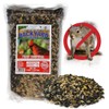 Backyard Seeds Fiery Surprise Bird Seed Blend 5 Pounds