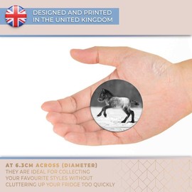 Destination Vinyl ltd Magnet for Refrigerator, Fridge BW - Cute Foal Horse Pony Snow for Office, Cabinet and Whiteboard, Magnetic Stickers, 38077