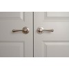 Design House 755413 Ironwood 2-Way Adj. Passage Door Handle, Sage