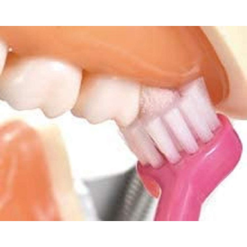 Circle Taft 12 Pieces, Medium, Regular